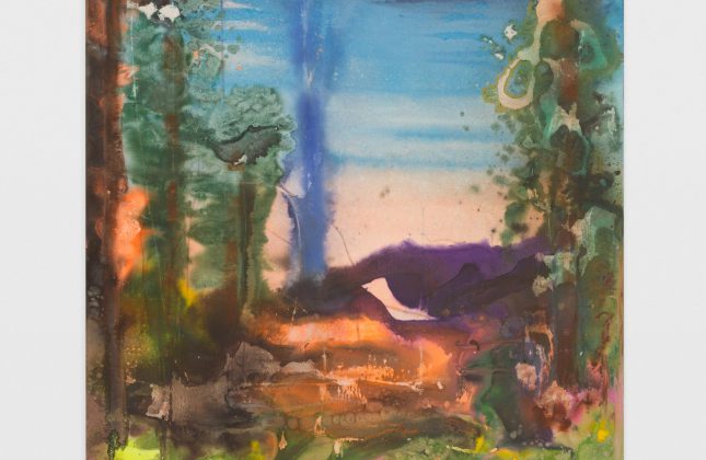 02-christianaugust-150x120cm-distorted-wilderness-2024.d286c2c9