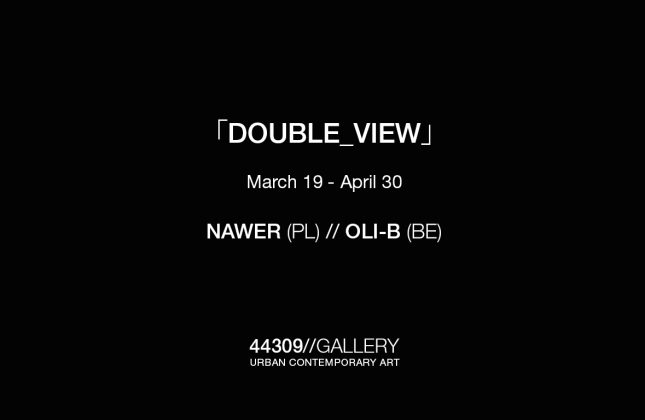 DOUBLE_VIEW